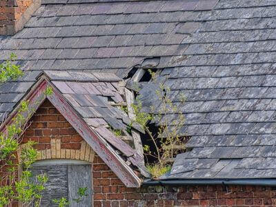 Professional commercial flood cleanup services in Tehachapi